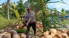 Negeri Hamparan Kelapa, Sudah Sejahterakah Para Petani Kelapa